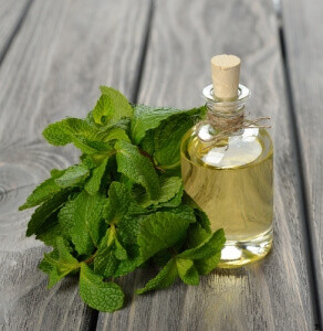 5 Health Benefits Of Peppermint