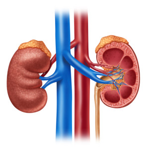 March is Kidney Health Month