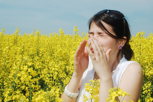 Top Tips For Spring Allergy Relief Top Tips For Spring Allergy Relief