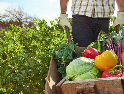 Spring Cleaning For Your Health